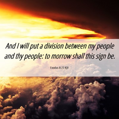 Picture 06 - Exodus 8:23 KJV - And I will put a division between my people and - Bible Verse Picture