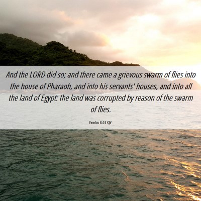 Picture 06 - Exodus 8:24 KJV - And the LORD did so; and there came a grievous - Bible Verse Picture