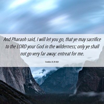 Picture 06 - Exodus 8:28 KJV - And Pharaoh said, I will let you go, that ye may - Bible Verse Picture
