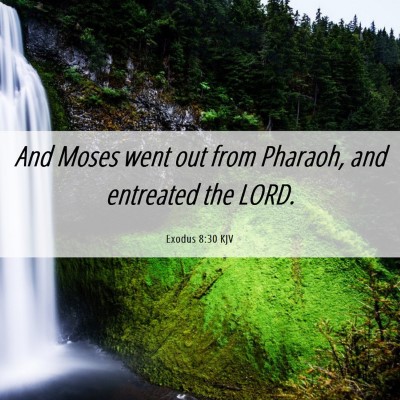 Picture 06 - Exodus 8:30 KJV - And Moses went out from Pharaoh, and entreated - Bible Verse Picture