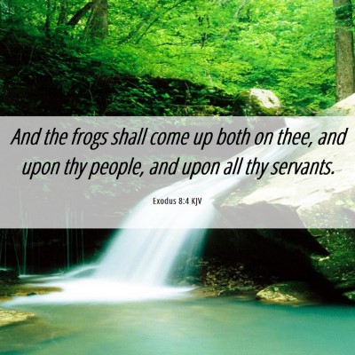 Picture 06 - Exodus 8:4 KJV - And the frogs shall come up both on thee, and - Bible Verse Picture