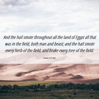 Picture 06 - Exodus 9:25 KJV - And the hail smote throughout all the land of - Bible Verse Picture