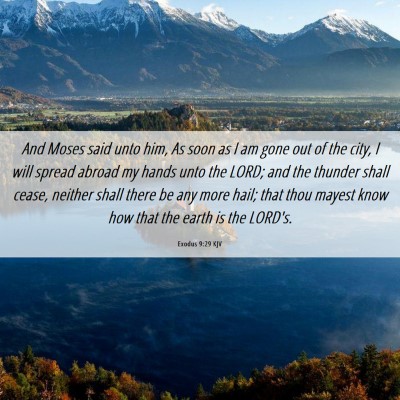 Picture 06 - Exodus 9:29 KJV - And Moses said unto him, As soon as I am gone out - Bible Verse Picture