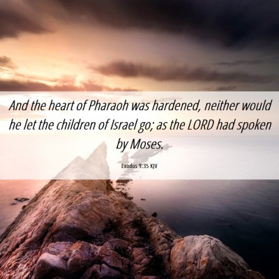 Picture 06 - Exodus 9:35 KJV - And the heart of Pharaoh was hardened, neither - Bible Verse Picture