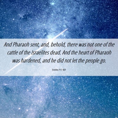 Picture 06 - Exodus 9:7 KJV - And Pharaoh sent, and, behold, there was not one - Bible Verse Picture