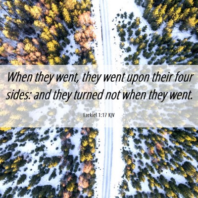 Picture 06 - Ezekiel 1:17 KJV - When they went, they went upon their four sides: - Bible Verse Picture