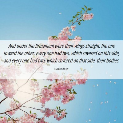 Picture 06 - Ezekiel 1:23 KJV - And under the firmament were their wings - Bible Verse Picture