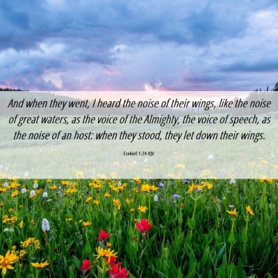 Picture 06 - Ezekiel 1:24 KJV - And when they went, I heard the noise of their - Bible Verse Picture