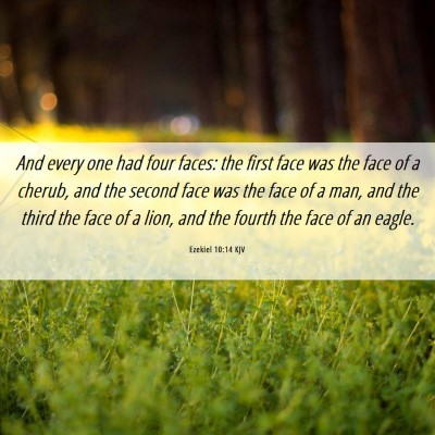 Picture 06 - Ezekiel 10:14 KJV - And every one had four faces: the first face was - Bible Verse Picture