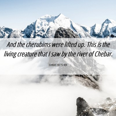 Picture 06 - Ezekiel 10:15 KJV - And the cherubims were lifted up. This is the - Bible Verse Picture