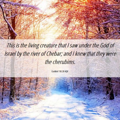 Picture 06 - Ezekiel 10:20 KJV - This is the living creature that I saw under the - Bible Verse Picture