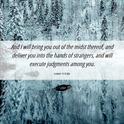 Picture 06 - Ezekiel 11:9 KJV - And I will bring you out of the midst thereof, - Bible Verse Picture