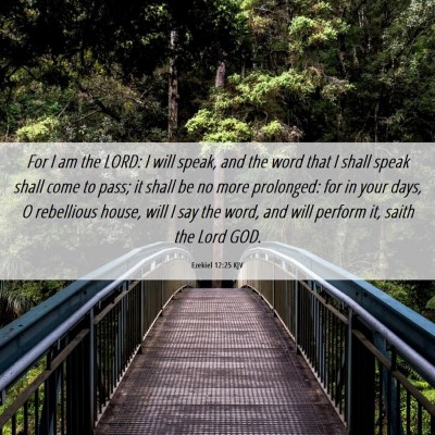 Picture 06 - Ezekiel 12:25 KJV - For I am the LORD: I will speak, and the word - Bible Verse Picture