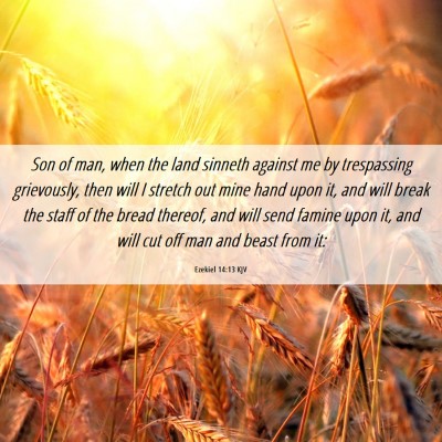 Picture 06 - Ezekiel 14:13 KJV - Son of man, when the land sinneth against me by - Bible Verse Picture