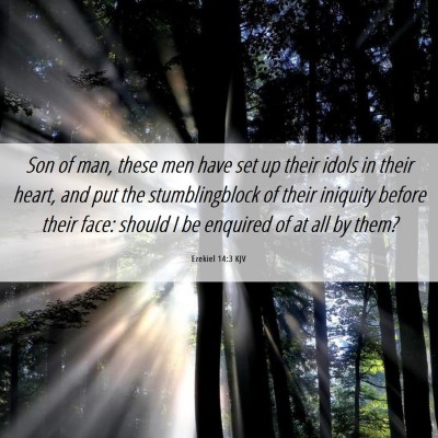 Picture 06 - Ezekiel 14:3 KJV - Son of man, these men have set up their idols in - Bible Verse Picture