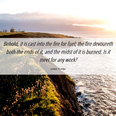 Picture 06 - Ezekiel 15:4 KJV - Behold, it is cast into the fire for fuel; the - Bible Verse Picture