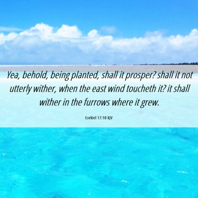 Picture 06 - Ezekiel 17:10 KJV - Yea, behold, being planted, shall it prosper? - Bible Verse Picture