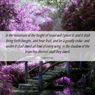 Picture 06 - Ezekiel 17:23 KJV - In the mountain of the height of Israel will I - Bible Verse Picture
