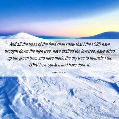 Picture 06 - Ezekiel 17:24 KJV - And all the trees of the field shall know that I - Bible Verse Picture