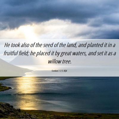 Picture 06 - Ezekiel 17:5 KJV - He took also of the seed of the land, and planted - Bible Verse Picture