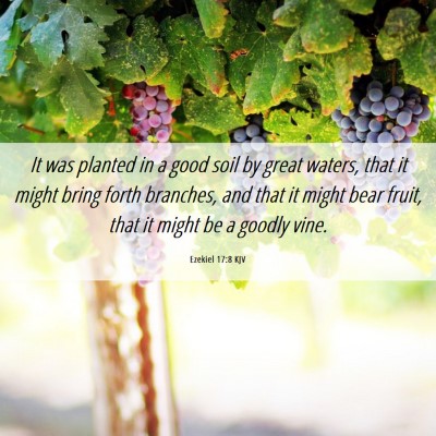 Picture 06 - Ezekiel 17:8 KJV - It was planted in a good soil by great waters, - Bible Verse Picture