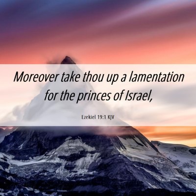 Picture 06 - Ezekiel 19:1 KJV - Moreover take thou up a lamentation for the - Bible Verse Picture