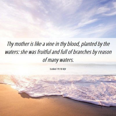 Picture 06 - Ezekiel 19:10 KJV - Thy mother is like a vine in thy blood, planted - Bible Verse Picture