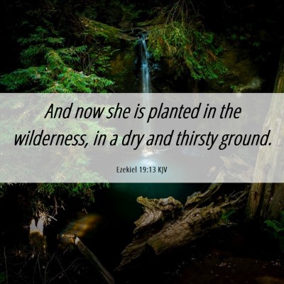 Picture 06 - Ezekiel 19:13 KJV - And now she is planted in the wilderness, in a - Bible Verse Picture