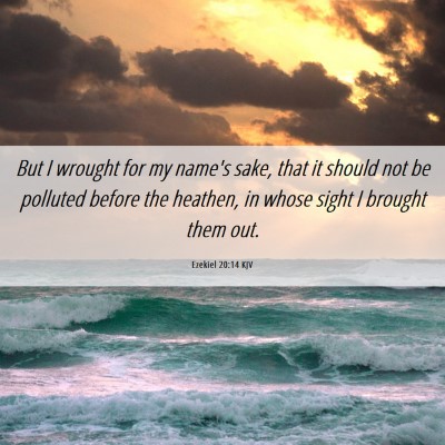 Picture 06 - Ezekiel 20:14 KJV - But I wrought for my name's sake, that it should - Bible Verse Picture