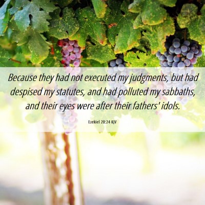 Picture 06 - Ezekiel 20:24 KJV - Because they had not executed my judgments, but - Bible Verse Picture