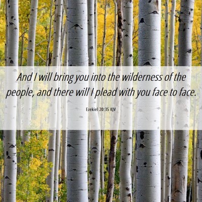Picture 06 - Ezekiel 20:35 KJV - And I will bring you into the wilderness of the - Bible Verse Picture