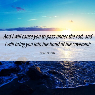 Picture 06 - Ezekiel 20:37 KJV - And I will cause you to pass under the rod, and I - Bible Verse Picture