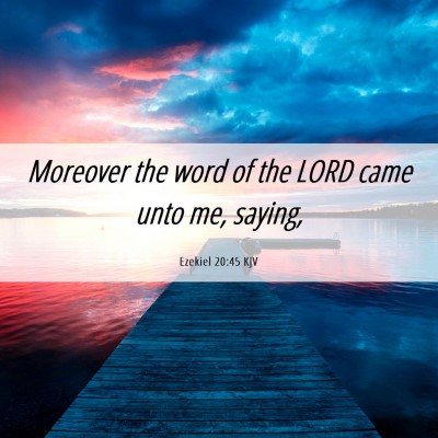 Picture 06 - Ezekiel 20:45 KJV - Moreover the word of the LORD came unto me, - Bible Verse Picture