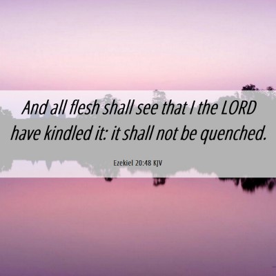 Picture 06 - Ezekiel 20:48 KJV - And all flesh shall see that I the LORD have - Bible Verse Picture