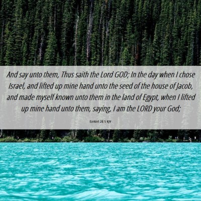 Picture 06 - Ezekiel 20:5 KJV - And say unto them, Thus saith the Lord GOD; In - Bible Verse Picture