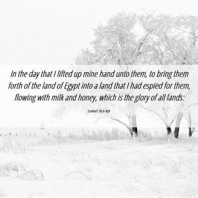 Picture 06 - Ezekiel 20:6 KJV - In the day that I lifted up mine hand unto them, - Bible Verse Picture