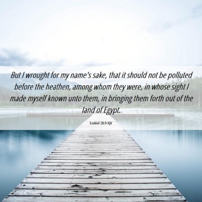 Picture 06 - Ezekiel 20:9 KJV - But I wrought for my name's sake, that it should - Bible Verse Picture