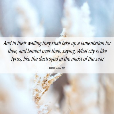 Picture 06 - Ezekiel 27:32 KJV - And in their wailing they shall take up a - Bible Verse Picture