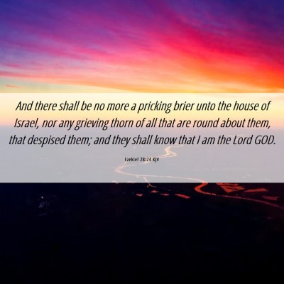 Picture 06 - Ezekiel 28:24 KJV - And there shall be no more a pricking brier unto - Bible Verse Picture