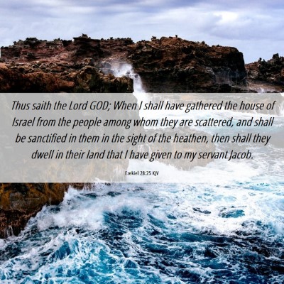Picture 06 - Ezekiel 28:25 KJV - Thus saith the Lord GOD; When I shall have - Bible Verse Picture
