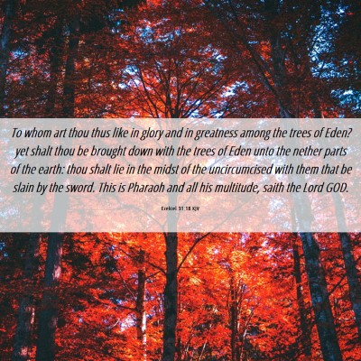Picture 06 - Ezekiel 31:18 KJV - To whom art thou thus like in glory and in - Bible Verse Picture