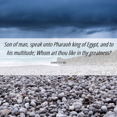 Picture 06 - Ezekiel 31:2 KJV - Son of man, speak unto Pharaoh king of Egypt, and - Bible Verse Picture