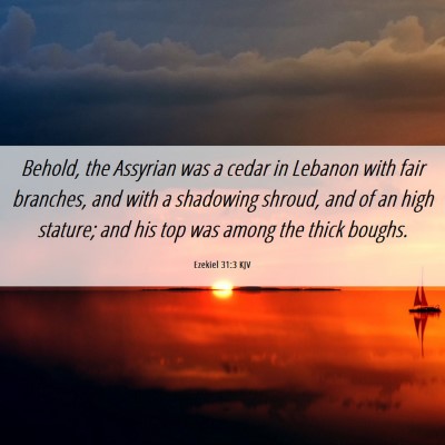 Picture 06 - Ezekiel 31:3 KJV - Behold, the Assyrian was a cedar in Lebanon with - Bible Verse Picture