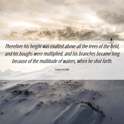 Picture 06 - Ezekiel 31:5 KJV - Therefore his height was exalted above all the - Bible Verse Picture