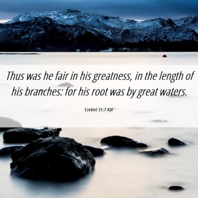 Picture 06 - Ezekiel 31:7 KJV - Thus was he fair in his greatness, in the length - Bible Verse Picture