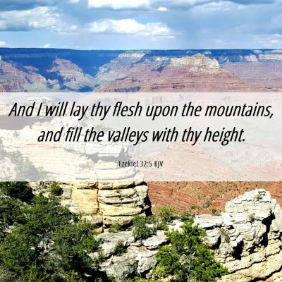 Picture 06 - Ezekiel 32:5 KJV - And I will lay thy flesh upon the mountains, and - Bible Verse Picture