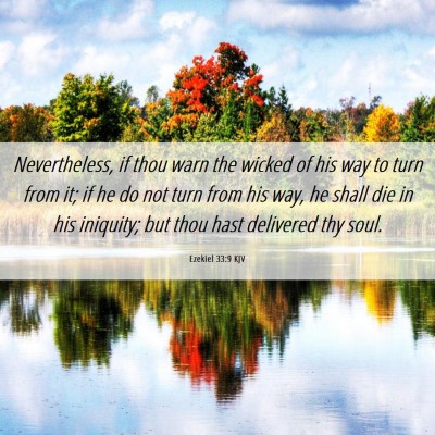 Picture 06 - Ezekiel 33:9 KJV - Nevertheless, if thou warn the wicked of his way - Bible Verse Picture