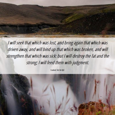 Picture 06 - Ezekiel 34:16 KJV - I will seek that which was lost, and bring again - Bible Verse Picture