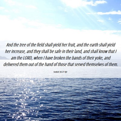Picture 06 - Ezekiel 34:27 KJV - And the tree of the field shall yield her fruit, - Bible Verse Picture