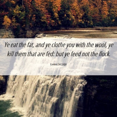 Picture 06 - Ezekiel 34:3 KJV - Ye eat the fat, and ye clothe you with the wool, - Bible Verse Picture